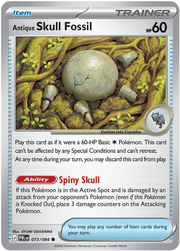 PBL - 073 - Antique Skull Fossil